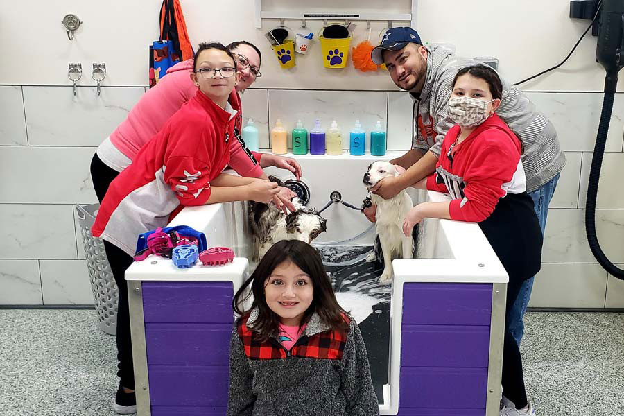 A family washing their two small dogs in a self-service dog washing station