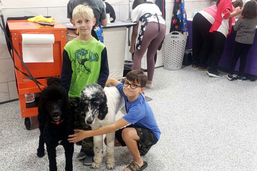 Kids petting shop dogs