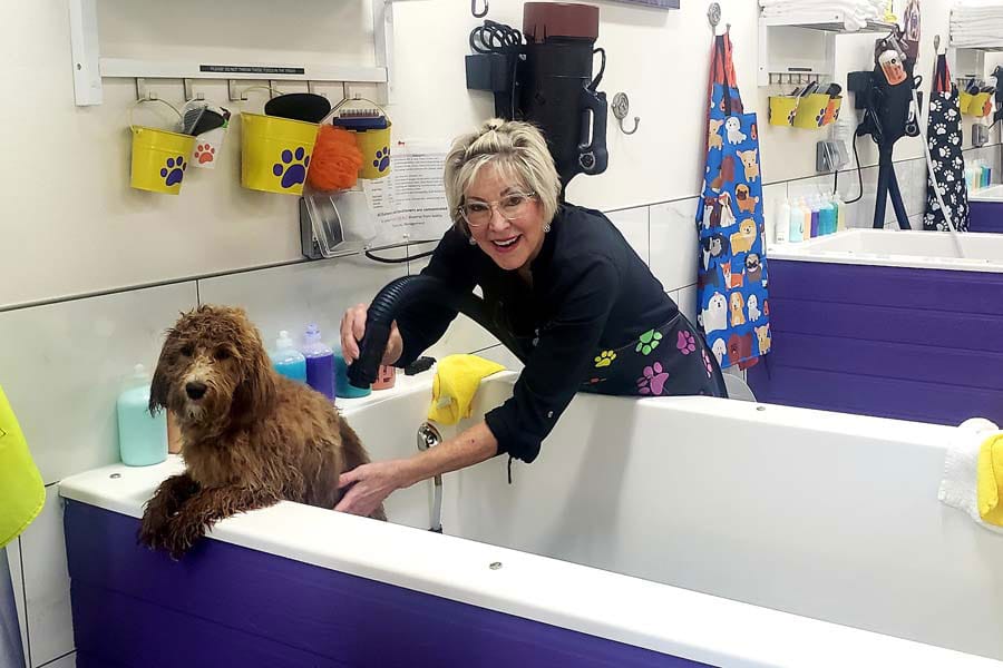 Woman Using self-service dog washing station to wash her dog.