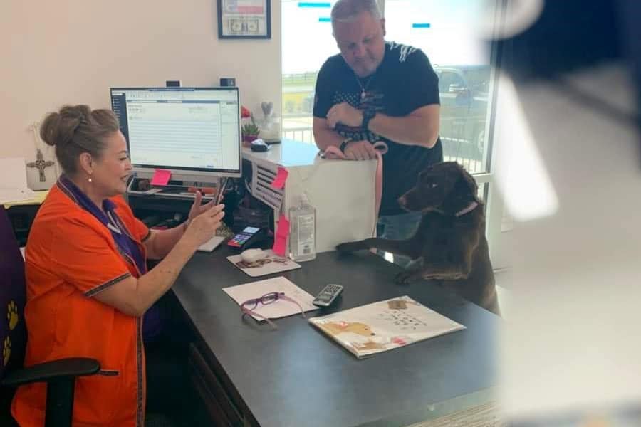 A man and his dog at the check-out station