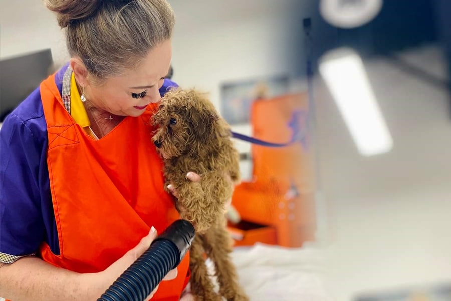 Smiling woman washing curly-haired dog